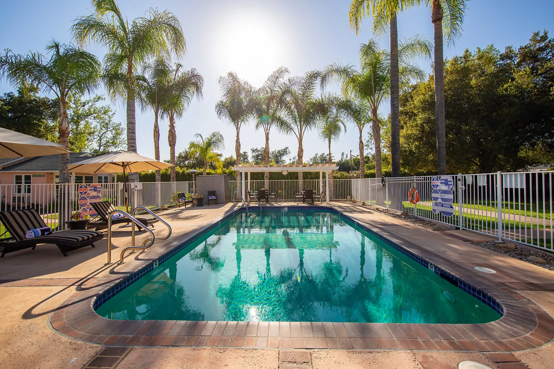 Outdoor pool area with palm trees at Gables of Ojai